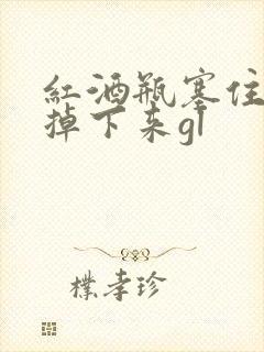 红酒瓶塞住不准掉下来gl