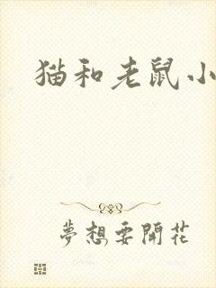 猫和老鼠小说
