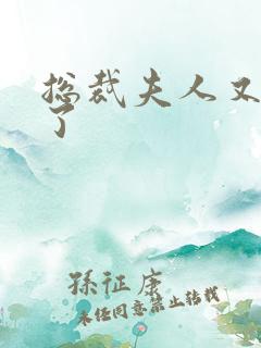 总裁夫人又征婚了