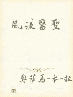 风流医圣