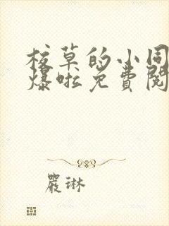 校草的小同桌撩爆啦免费阅读