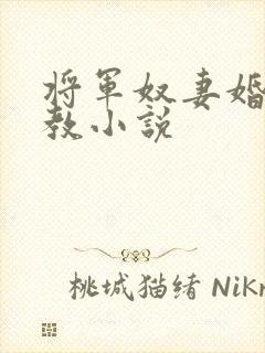 将军奴妻婚房调教小说