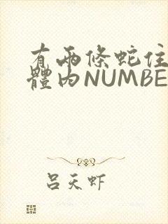 有两条蛇住在我体内NUMBER7