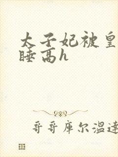 太子妃被皇上强睡高h