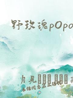 野玫瑰pOpo