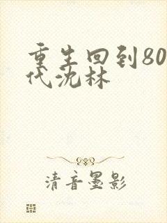 重生回到80年代沈林