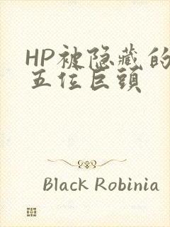 HP被隐藏的第五位巨头