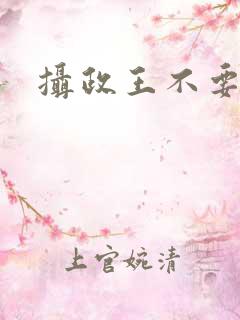 摄政王不要