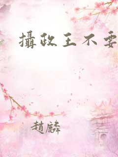 摄政王不要