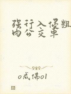 强行入侵粗暴h肉公交车