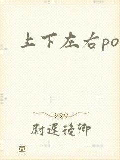 上下左右po