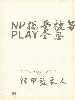 NP总受被各种PLAY全息