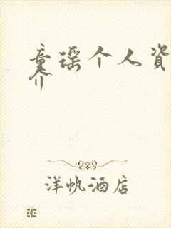 童瑶个人资料简介