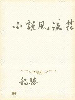 小说风流花少
