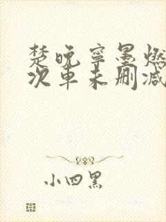 楚晚宁墨燃第一次车未删减