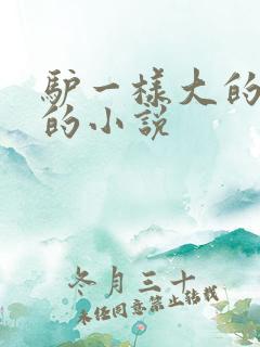 驴一样大的凶器的小说