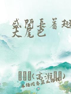 盛开长着翅膀的大尾巴