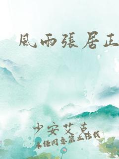 风雨张居正下载