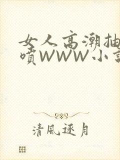 女人高潮抽搐潮喷WWW小说