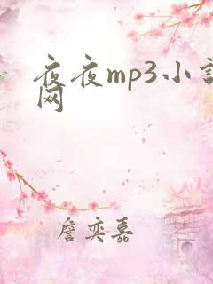 夜夜mp3小说网