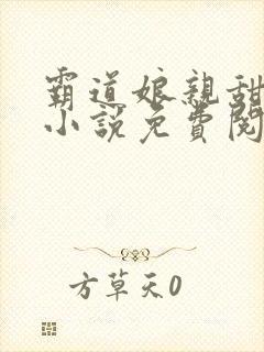 霸道娘亲甜又撩小说免费阅读