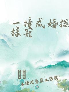 一撞成婚总裁花样宠