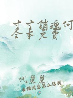 寸寸销魂何生祥全本免费