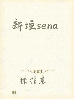 新垣sena