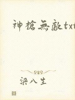 神枪无敌txt