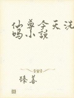 仙尊今天洗白了吗小说