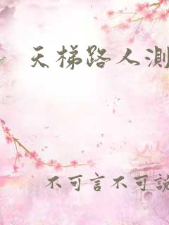 天梯路人测试器