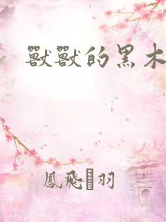 兽兽的黑木耳