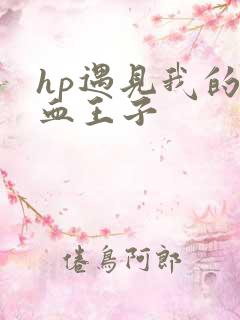 hp遇见我的混血王子