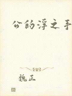 公的浮之手中字