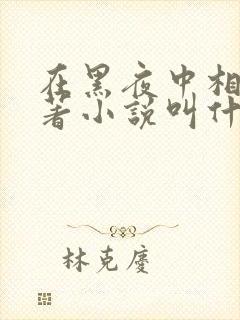 在黑夜中相拥原著小说叫什么