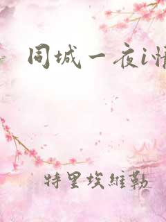 同城一夜i情