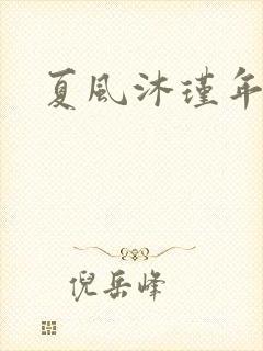夏风沐瑾年