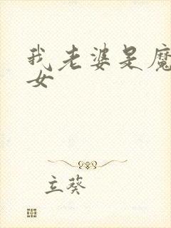 我老婆是魔法少女