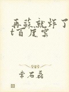 再苏就炸了txt百度云