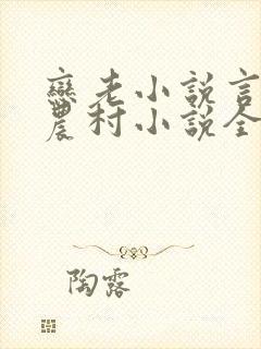 恋老小说言情网农村小说全文阅读