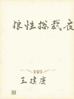 狼性总裁夜欢宠