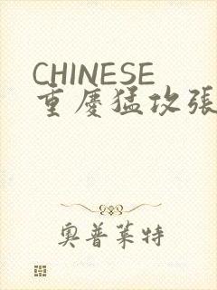 CHINESE重庆猛攻张先生