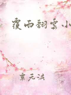 覆雨翻云小说