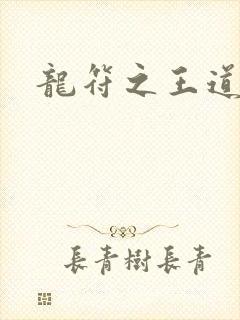 龙符之王道天下