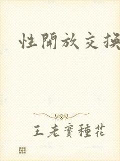 性开放交换小说