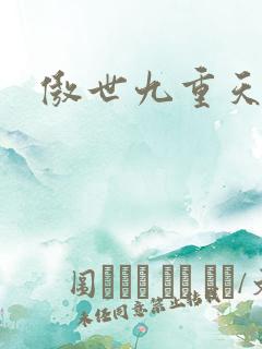 傲世九重天小说