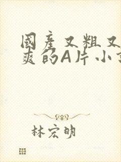 国产又粗又黄又爽的A片小说