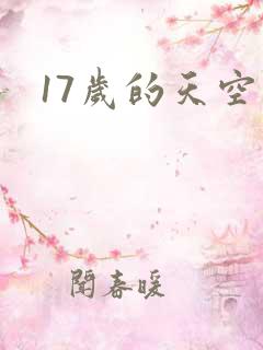 17岁的天空