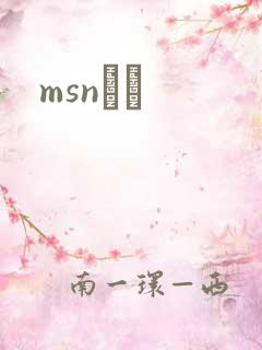 msnС˵