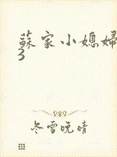 苏家小媳妇1V3
